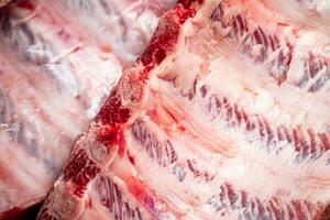 Fresh raw ribs. Macro background. photo