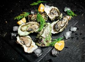 Fresh oysters with greens. On a black background. photo