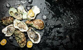 Raw oysters on a stone board. photo