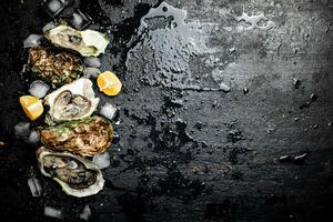 Oysters with lemon and ice cubes. photo