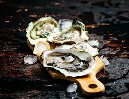 Oysters on a wooden cutting board. photo