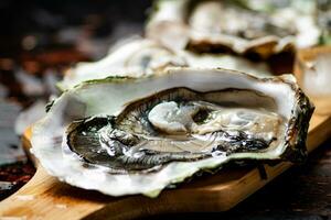 Oysters on a wooden cutting board. photo