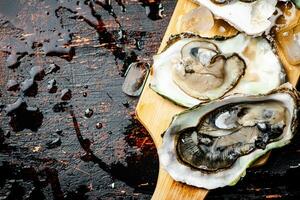 Oysters on a wooden cutting board. photo