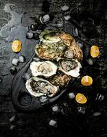 Fresh oysters on a cutting board. photo