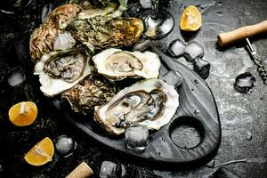 Fresh oysters on a cutting board. photo