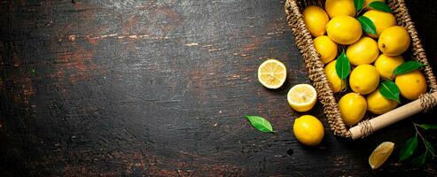 Fresh lemons with foliage in a basket. photo