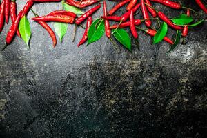 Chili peppers with leaves. On a black background. photo