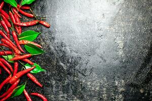 Chili peppers with leaves. On a black background. photo