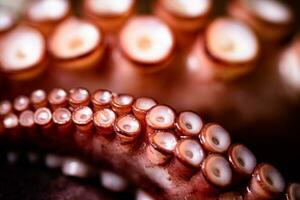 The tentacles of the octopus are boiled in water. photo