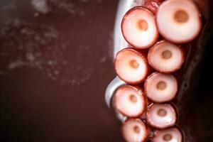 The tentacles of the octopus are boiled in water. photo