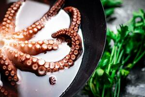 Octopus is boiled in a pot of water. photo