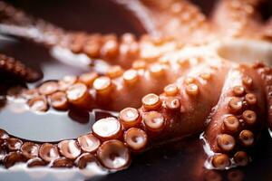 The tentacles of the octopus are boiled in water. photo