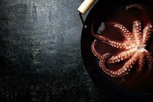 Octopus is boiled in a pot of water. photo