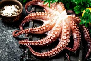 Tentacles of a fresh octopus on a cutting board. photo