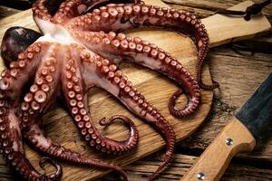 Beautiful octopus on a cutting board. photo