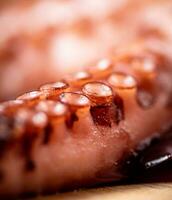 Octopus tentacles. Macro background. Octopus texture. photo