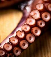 Octopus tentacles. Macro background. Octopus texture. photo