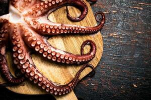 Octopus on a wooden cutting board. photo