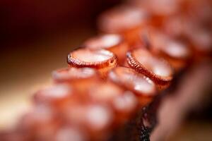 Octopus tentacles. Macro background. Octopus texture. photo
