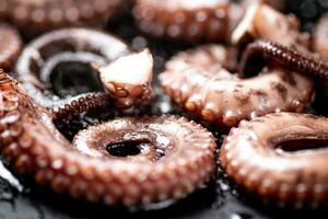 An octopus in a frying pan. photo