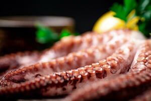 Octopus tentacles with parsley. Macro background. photo