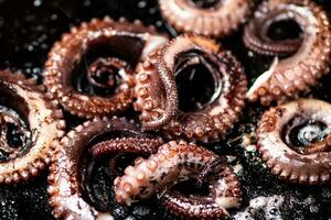 An octopus in a frying pan. photo