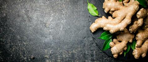 Fresh ginger with leaves on a stone board. photo