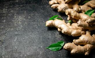 Fresh ginger root with leaves. photo