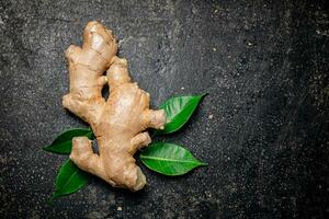 Fresh ginger root with leaves. photo