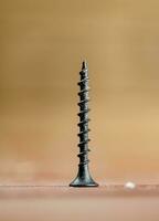 Self-tapping screw on wood on the table. photo