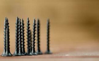 Self-tapping screw on wood on the table. photo