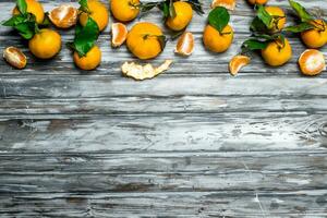 Fresh juicy mandarins with leaves. photo