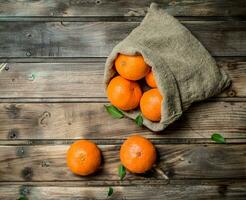 Fresh mandarins in the sack. photo