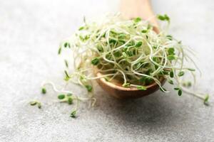 Microgreens grown in a jar. photo