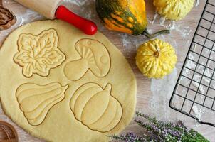 Preparation of festive cookies for baking in the oven. photo