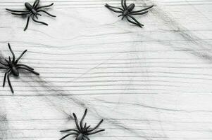 Halloween background with spider web and spiders photo