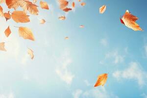 Autumn falling leaves photo