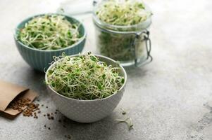 Microgreens grown in a jar. photo