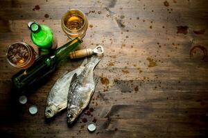 Beer and dried fish. photo