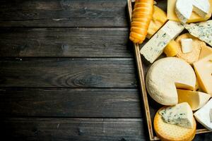 Assortment of different types of cheese on the tray. photo