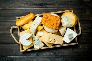 Assortment of different types of cheese on the tray. photo