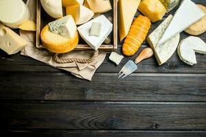 Different types of cheese. photo