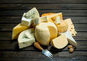 Different types of cheese. photo