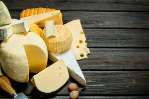 Different types of cheese. photo