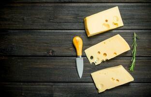 Fresh cheese with rosemary. photo