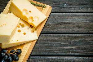 Fresh cheese with grapes and rosemary. photo