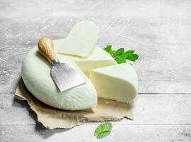 Soft cheese with a branch of mint. photo