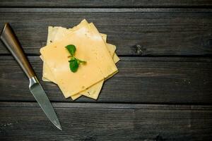 Thin slices of cheese with a branch of mint. photo