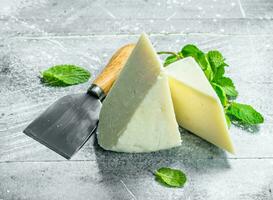Soft cheese with mint leaves. photo