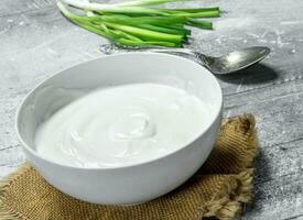 Sour cream with green onions in bowl . photo